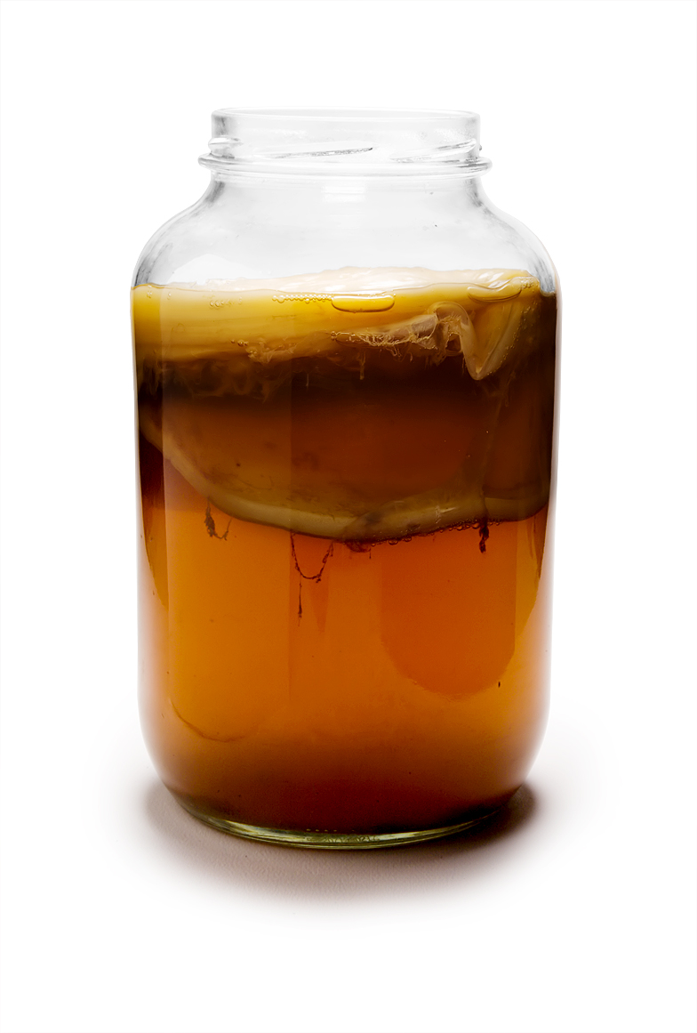 Kombucha co-culture with SCOBY biofilm (https://commons.wikimedia.org/wiki/File:Kombucha_Mature.jpg#/media/File:Kombucha_Mature.jpg)